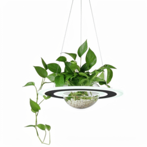 HaloVerde Pendant Light