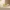 Sculptural Ceramic Bowl – Soft White