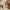 Textured Ceramic Vase – Sand Beige | Mia 30cm