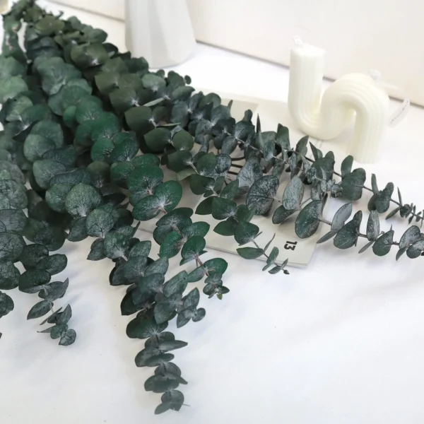 Preserved Dollar Gum Arrangement – Muted Eucalyptus Green